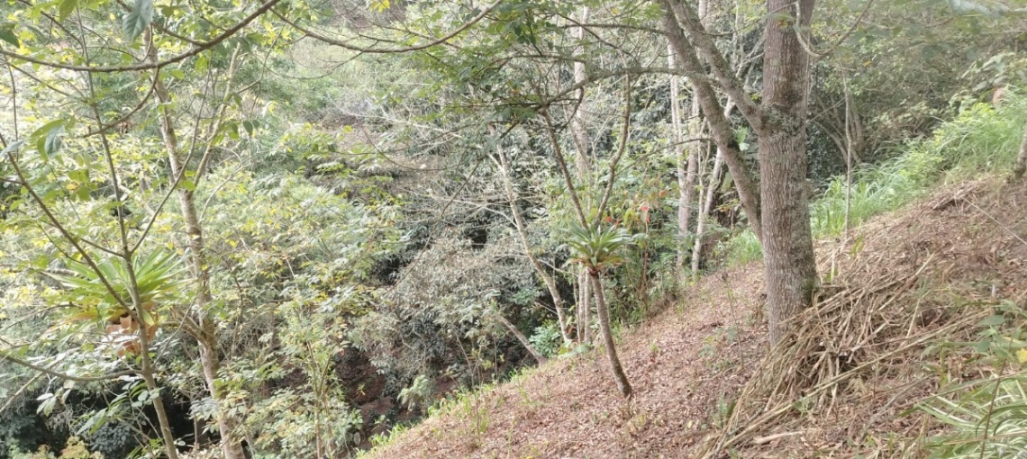 Cáqueza-Chipaque, Cáqueza, Cundinamarca, Colombia 5